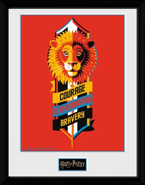 Рамкиран плакат Harry Potter - Courage