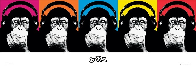 Плакат Steez - monkey