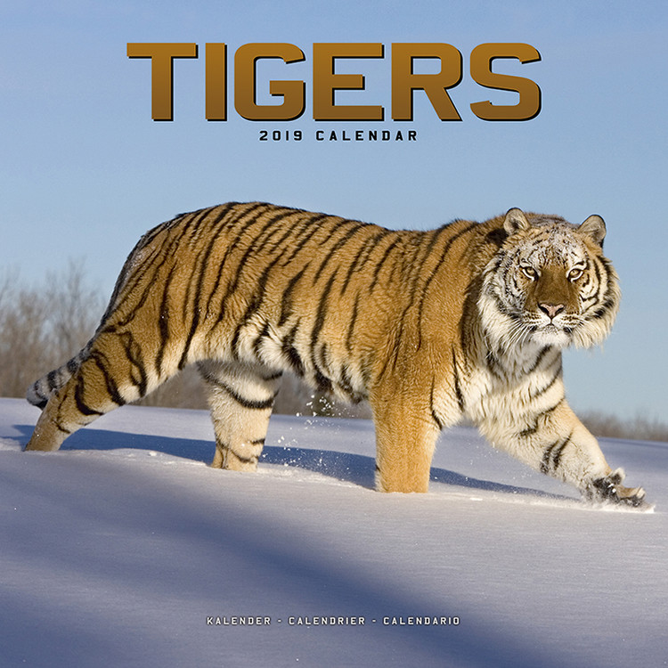Kalendar 2027 Tigers
