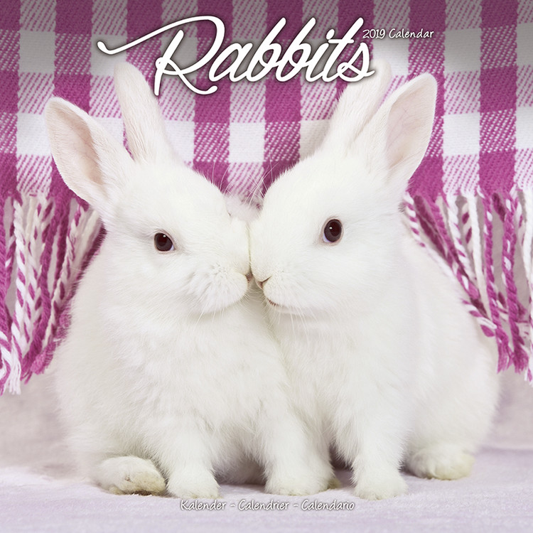 Kalendar 2027 Rabbits