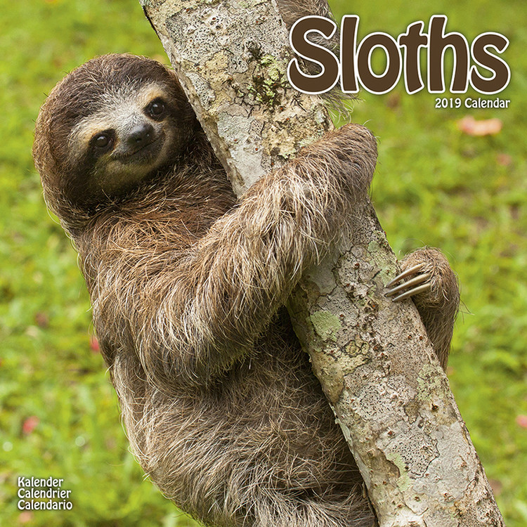 Ημερολόγιο 2027 Sloths