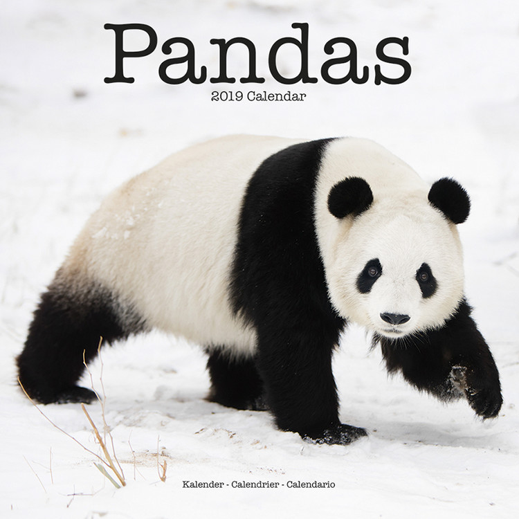 Kalendar 2027 Pandas