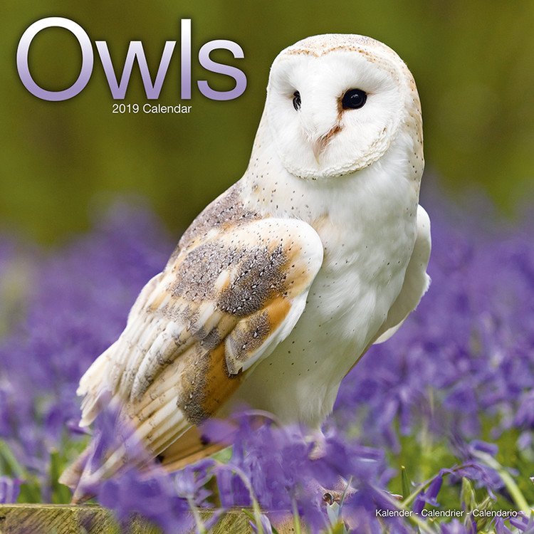 Kalenteri 2027 Owls