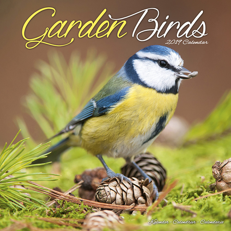 Calendar 2027 Garden Birds