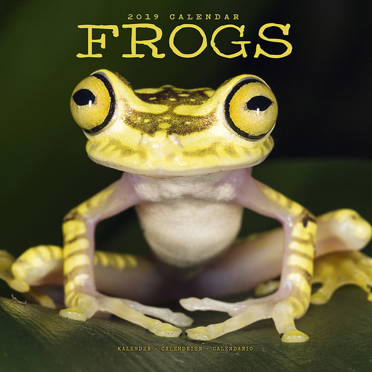 Kalendar 2027 Frogs
