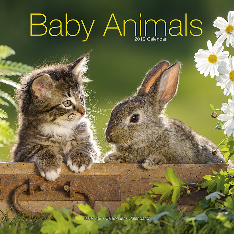 Kalenteri 2027 Baby Animals