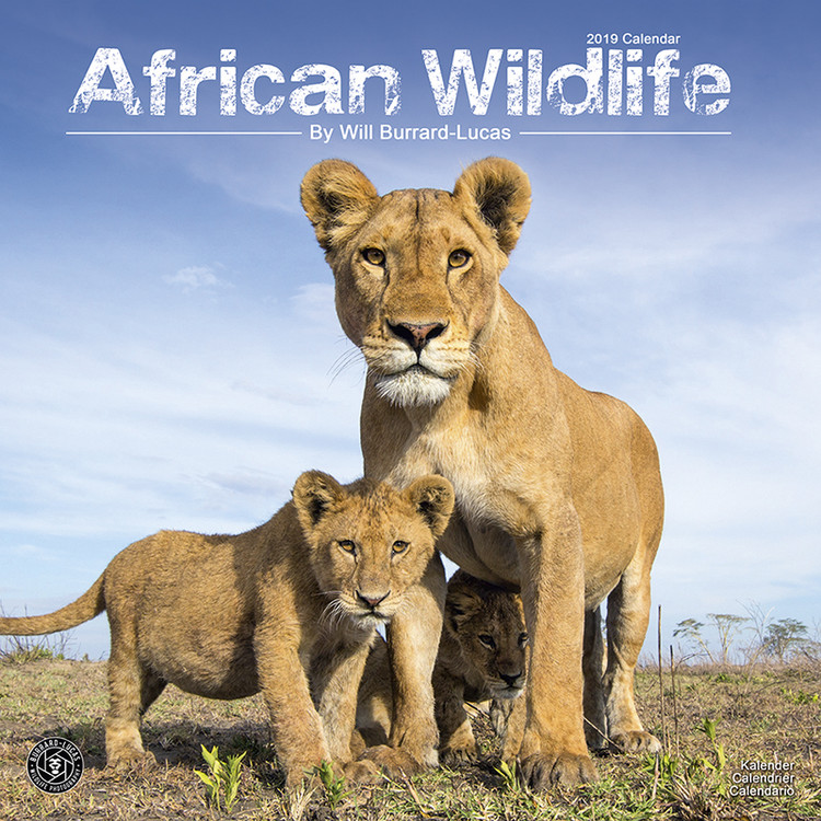 Kalenteri 2027 African Wildlife