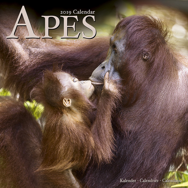 Calendar 2027 Apes