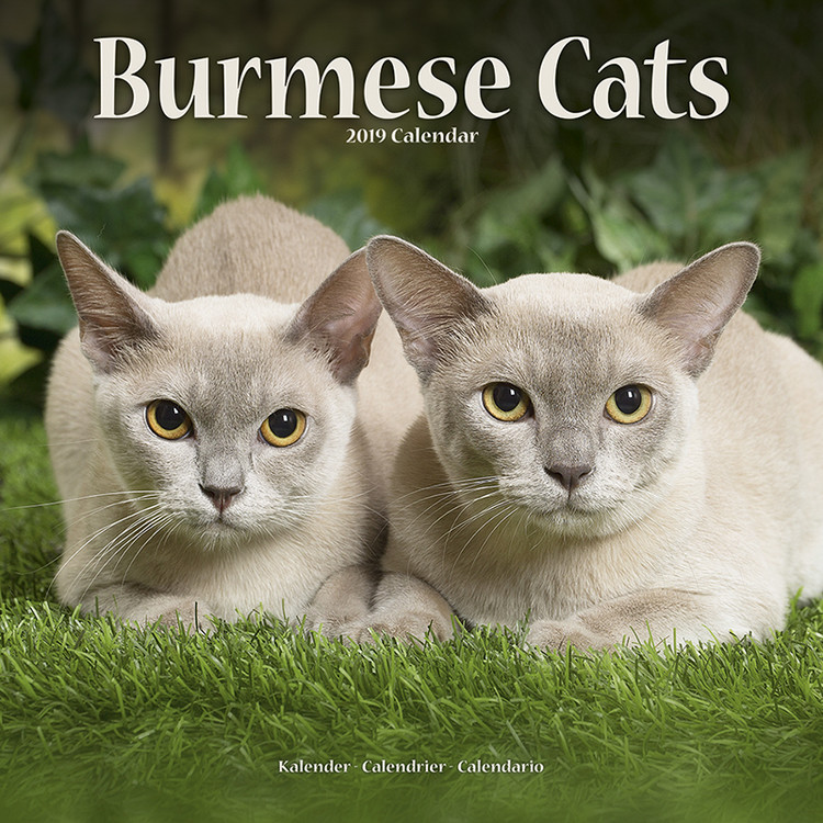 Kalenteri 2027 Burmese
