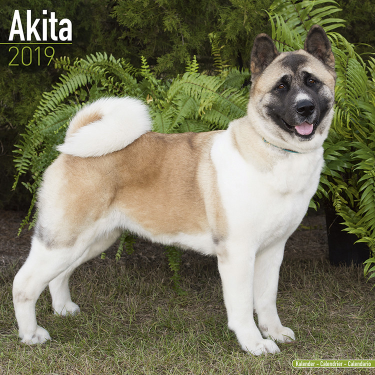 Calendar 2027 Akita