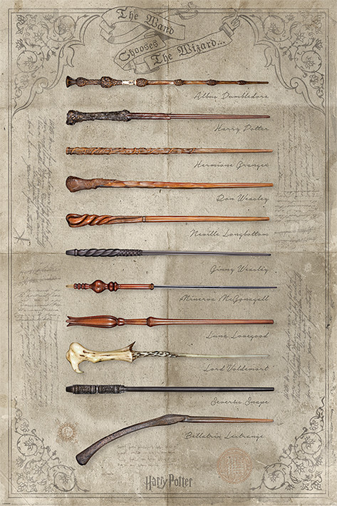 Плакат Harry Potter - The Wand Chooses The Wizard