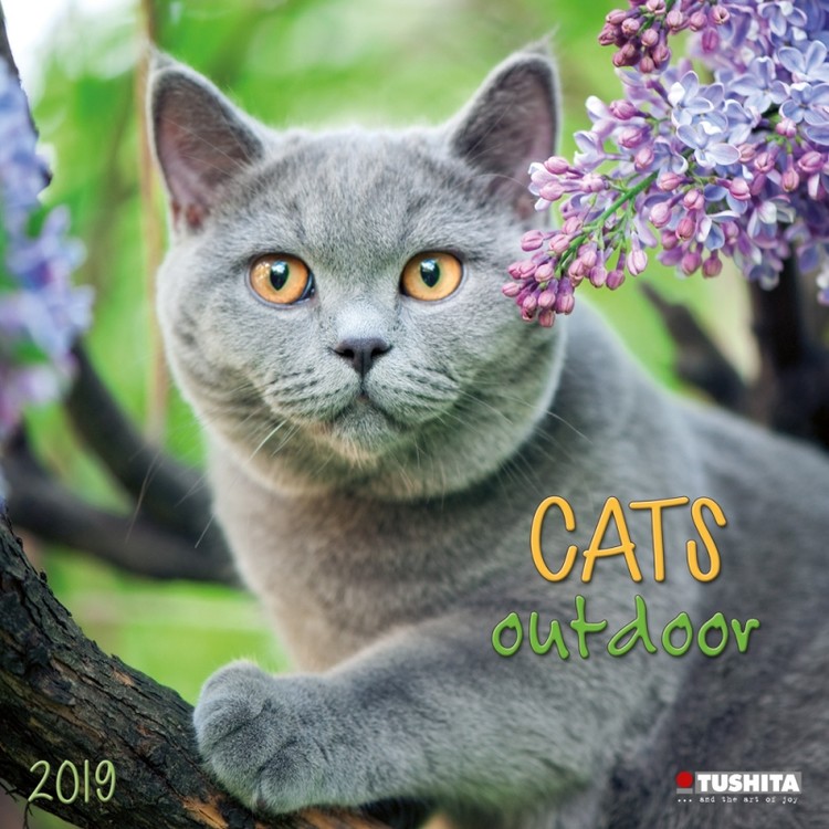 Kalenteri 2027 Cats Outdoors