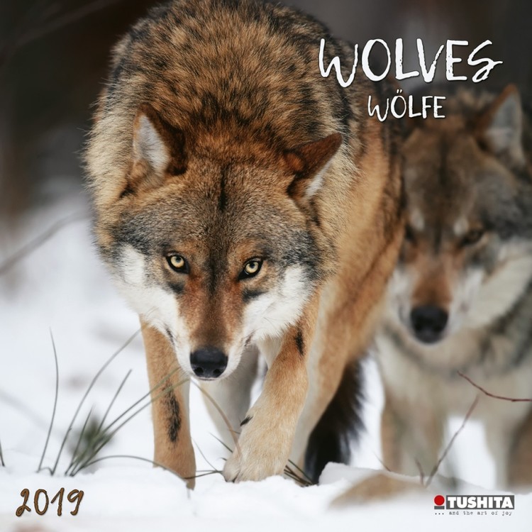 Calendar 2019 Wolves
