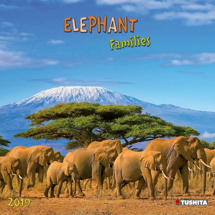 Ημερολόγιο 2027 Elephant Families