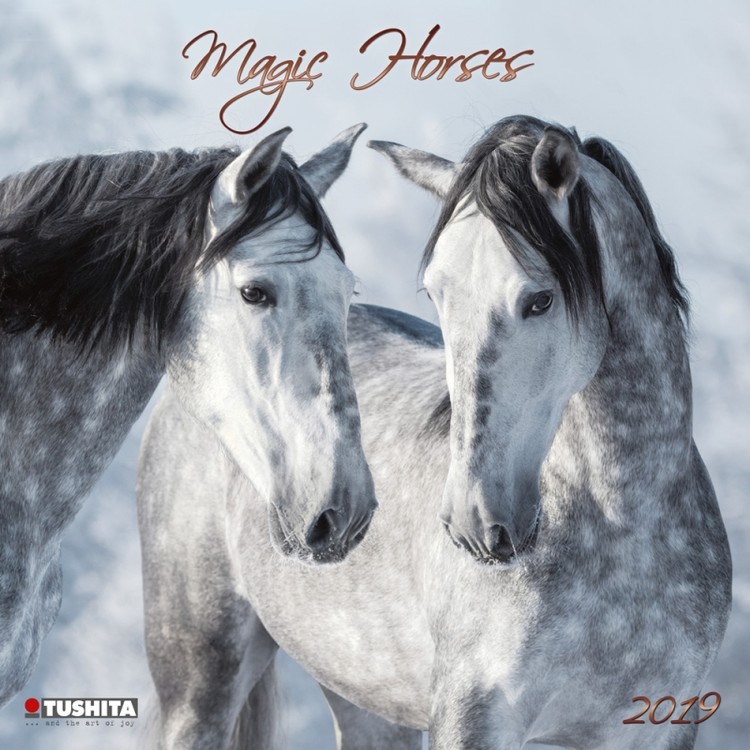 Календар 2027 Magic Horses