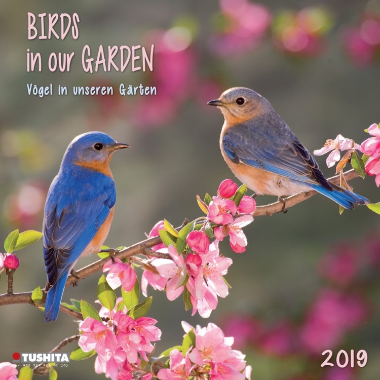 Ημερολόγιο 2027 Birds in our Garden