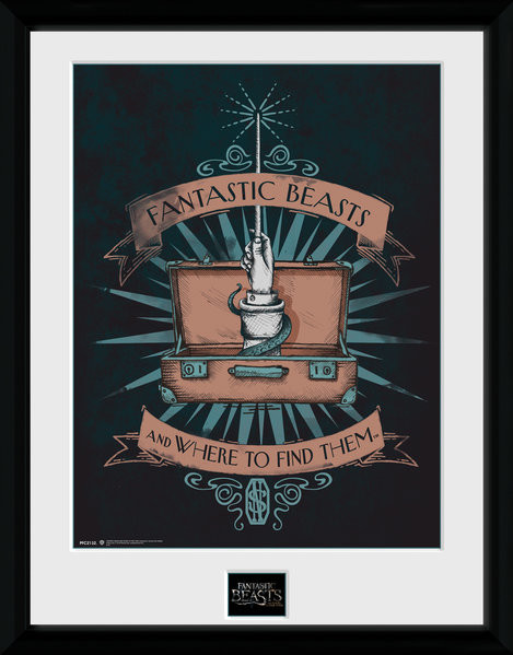 Poster emoldurado Fantastic Beasts - Illustration