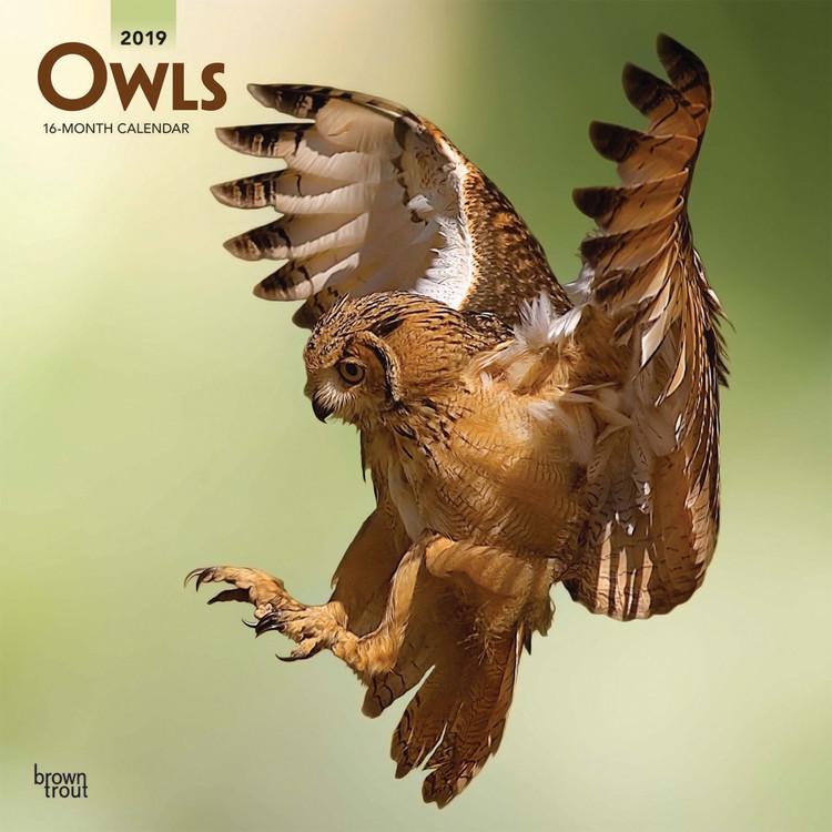 Calendar 2027 Owls