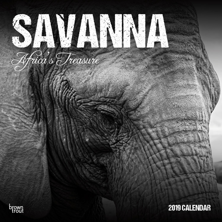 Ημερολόγιο 2027 Savanna - Africas Treasure