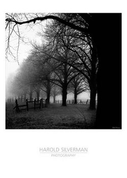 Black And White Morning Картина