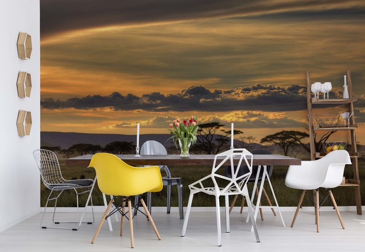 Africa Wallpaper Mural