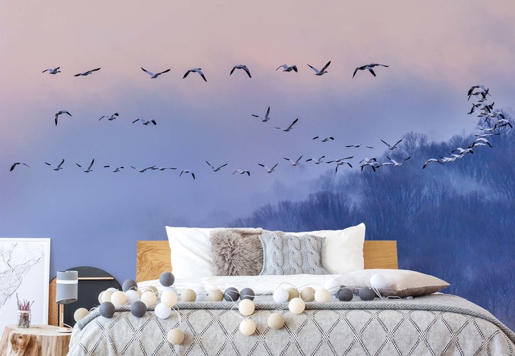 Snow Geese Wallpaper Mural