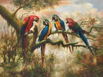 Художествен печат MACAW MORNING