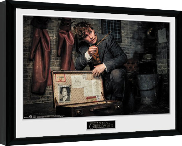 Framed poster Fantastic Beasts 2 - Newt Suitcase