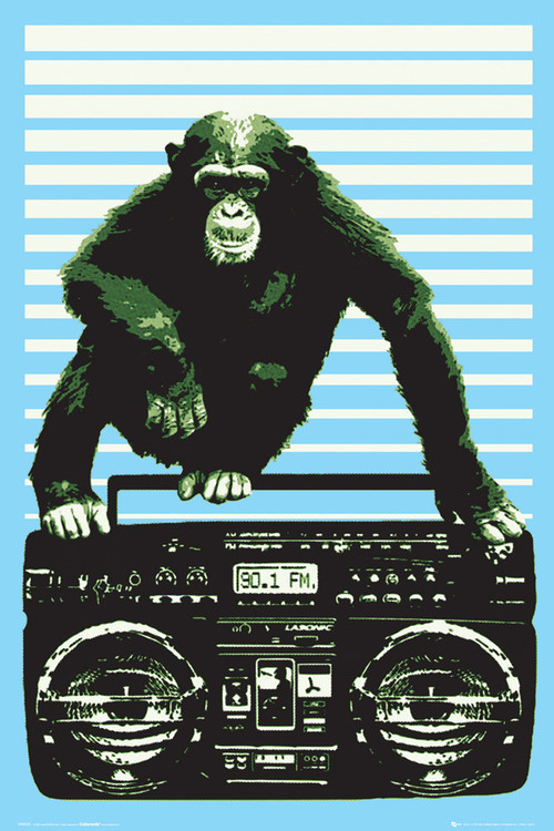 Poster Steez - boombox and monkey