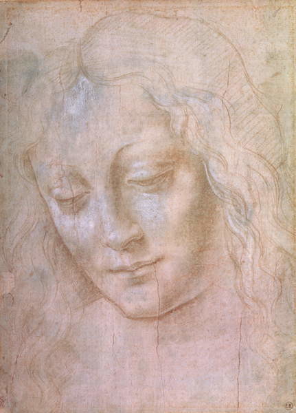 Canvas-taulu Leonardo da Vinci - Head of a Young Woman