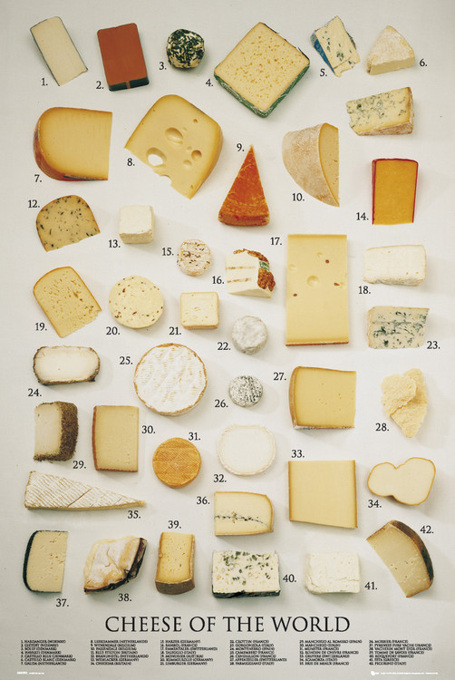 Плакат Cheeses of the world