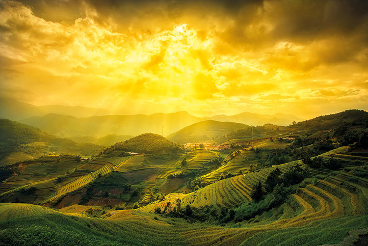 Плакат Rice Fields Of Yen Bai