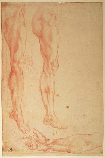 Плакат Studies of Legs and Arms