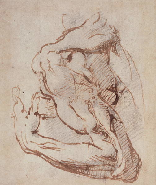 Плакат Study of an Arm (ink) Inv.1859/5/14/819