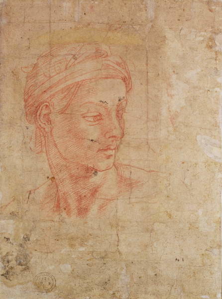 Плакат Study of a Head