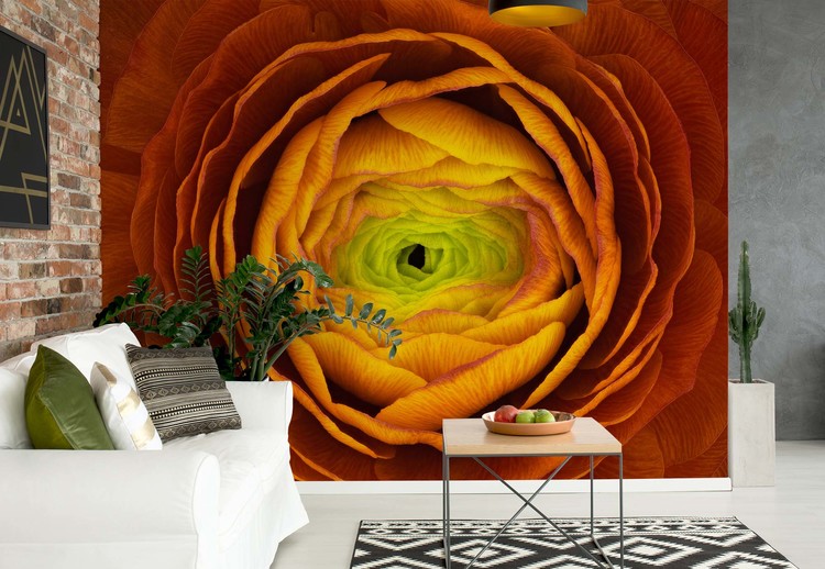 Ranunculus Asiaticus Wallpaper Mural