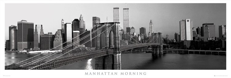 Πλαισιωμένη αφίσα Manhattan - morning b&w