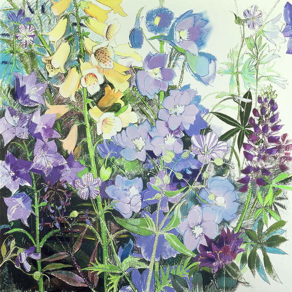 Плакат Delphiniums and Foxgloves