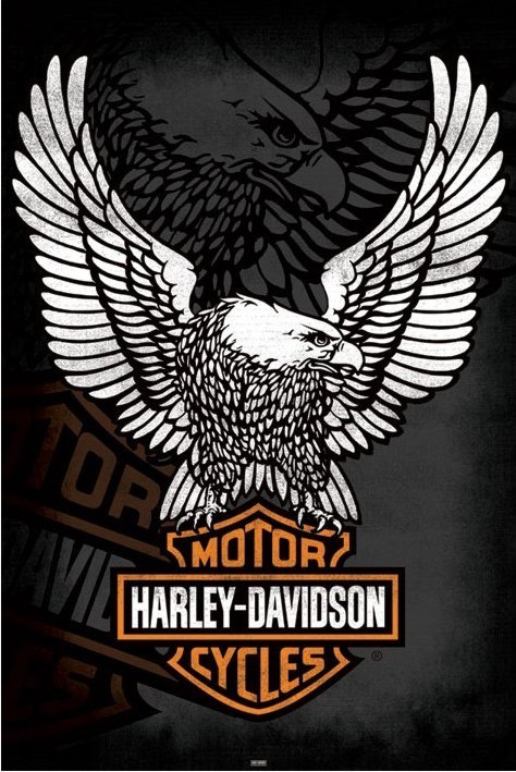 HARLEY−DAVIDSON イーグル壁掛け HARLEY−DAVIDSON イーグル壁掛け HARLEY−DAVIDSON イーグル壁掛け