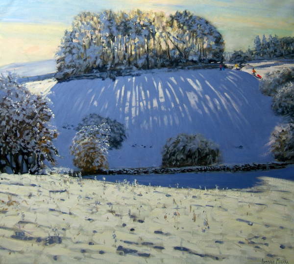 Плакат Field of shadows, near Youlgrave, Derbyshire
