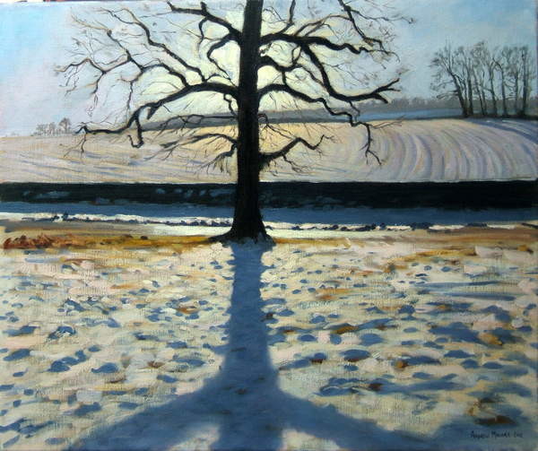 Плакат Tree and Shadow, Calke Abbey, Derbyshire