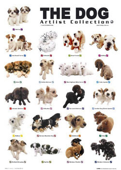 Плакат The dog - puppies