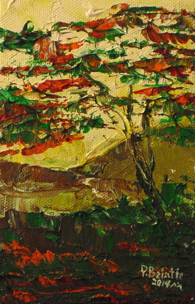 Плакат Flamboyant en fleur, 2014