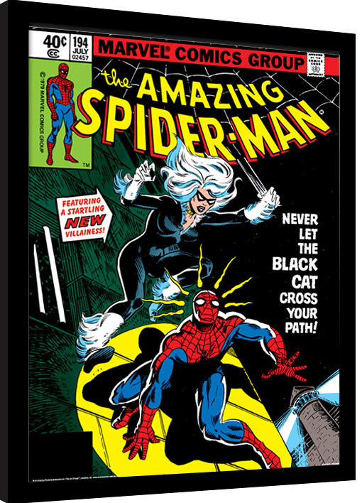 Framed Poster Spider-Man - Black Cat