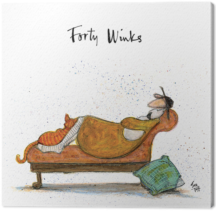 Принти на полотні Sam Toft - Forty Winks