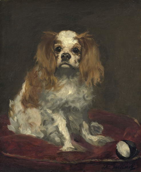 Плакат A King Charles Spaniel, c.1866