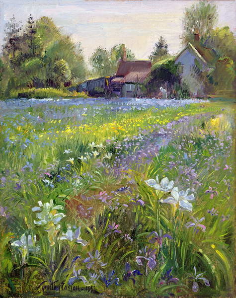 Принти на полотні Dwarf Irises and Cottage, 1993