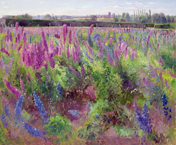 Плакат The Delphinium Field, 1991