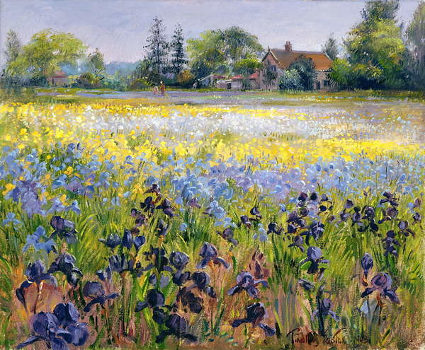 Плакат Irises and Two Fir Trees, 1993