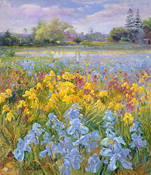 Плакат Irises, Willow and Fir Tree, 1993